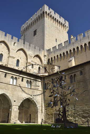 Palais des Papes