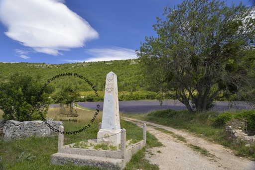 War Memorial