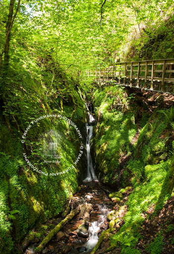 Dollar Glen
