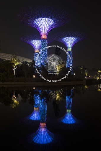 Gardens by the Bay