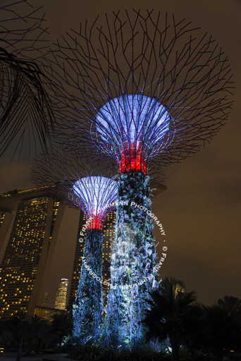 Gardens by the Bay