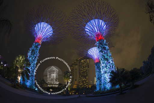 Gardens by the Bay
